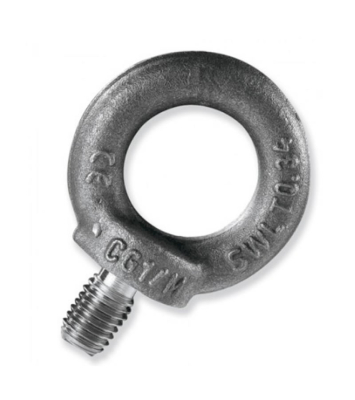 Cancamos Macho  Finistere