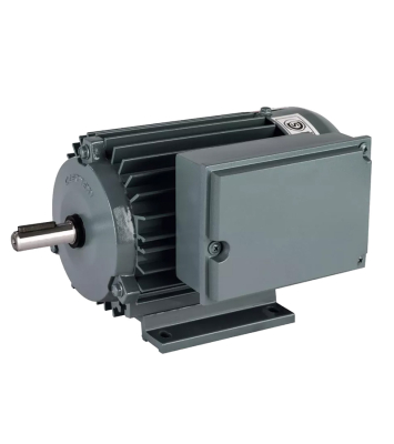 Motor 3/4 Hp 1500 Rpm Monof Blind A90Smc4B  Czerweny